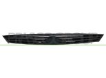 Prasco FD4202001 - Griglia Radiatore Oe 1064577 Per Focus (Daw, Dbw), Focus (Dfw), Focus (Dnw)