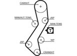 Gates 5451XS - Cinghia Di Distribuzione Oe 1005824 Per Escort Vi, Escort Vii, Fiesta Iv, Fiesta Iii, Mondeo Ii