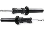 Ridex 854S18101 - Ammortizzatore Oe 31 31 6 781 919, Asse Anteriore Per X5 (E70), X6 (E71)