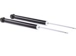 Ridex 854S2120 - Oe 1 207 444 Ammortizzatore, Asse Posteriore Per Fusion