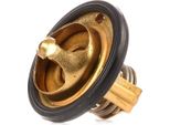 Stark SKTC-0560117 - Termostato Liquido Di Raffreddamento Oe 17670A78B01 Per Aveo (T200), Aveo (T250, T255), Aveo (T300), Matiz (M200, M250), Spark (M200, M250), Spark (M300), 6 (G), Pixo (UA0)