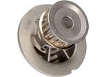 Maxgear 47-0195 - Oe 24409355 Wasserpumpe FüR Captiva, Epica (KL1), Lacetti (J200), Rezzo (U100), Antara (L07), Astra G, Astra H, Frontera B (U99), Speedster (E01), Vectra B (J96), Zafira B, Zafira A