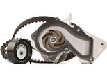 Stark SKWPT-0750053 - Oe 1 780 142 Wasserpumpe + Zahnriemensatz FüR B-Max, C-Max, Ecosport, Fiesta V, Fiesta Vi, Focus C-Max (DM2), Focus Ii, Focus Iii, Fusion, Grand C-Max, Ka+ (Fk), Mondeo Iv, 2 (Dy), C30 (533), S40 Ii (544), V50 (545)
