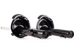 Ridex 854S0884 - Ammortizzatore Oe 1508070, Asse Anteriore Per Kuga I