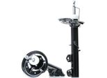 Ridex 854S1699 - StoßDäMpfer Oe 1 090 205, Vorderachse FüR Z3 (E36)