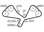 Gates 5605XS - Oe 06C109119C Cinghia Di Distribuzione Per A4 (8E), A4 (8H), A6 (4B), A6 (4F), A8 (4E)