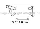 Prasco VO3170 - Radiatore Olio Oe 1435668 Per C-Max, Fiesta Vi, Focus Iii, Galaxy (WA6), Galaxy (Ck), Grand C-Max, Kuga Ii, Mondeo Iv, S-Max (WA6), Freelander 2 (L359), S60 Ii (134), V70 Iii (135), XC60 (156), S80 Ii (124), V60 I (155, 157), XC70 Ii (136)