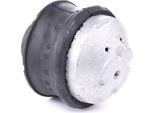 Stark SKEM-0660097 - Oe 203 240 13 17 Supporto Motore, Asse Anteriore Per Classe C (W203), Classe C (CL203), Classe C (S203), Classe Clc (CL203), Clk (C209), Classe E (W210), Classe E (W211), Classe E (VF211), Classe E (S210), Classe E (S211), Slk (R171)