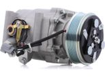 Stark SKKM-0340183 - Compressore Aria Condizionata Oe 38800 Pla E020 Per Accord V, Accord Vi, Civic Vi, Civic Vii, Prelude, Stream (Rn)