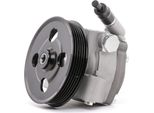 Stark SKHP-0540126 - Oe 1463840 Servo Pompa Per S-Max (WA6), Mondeo Iv, Galaxy (WA6), V70 Iii (135), S80 Ii (124)