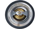 Nrf 725149 - Termostato KüHlwasser Oe 96143533 Per Aveo (T200), Aveo (T250, T255), Cruze (J300), Lacetti (J200), Rezzo (U100), 300 C (Le, Lx), 300 M (Lr), Vectra B (J96), Meriva (X03), Astra G, Combo, Combo (71), Combo Tour