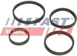 Fast FT48949 - Guarnizione Oe 11427527409, Radiatore Olio Per Jumpy (VF7), Scudo, Expert (Vf), Expert Tepee (VF3X)