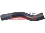 Fast FT61391 - Tubo Radiatore Oe 1351GC, Inferiore Sinistro Per Jumper, Ducato, Boxer