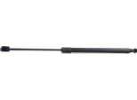 Ridex 219G0350 - Oe 81770 1C000 Ammortizzatore Portellone Posteriore Per Getz (Tb)