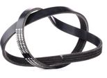Stark SKPB-0090274 - Cinghia Oe 64557792851 Con Nervatura A V Per Serie 3 (E46), Serie 3 (E90), Serie 3 (E92), Serie 3 (E91), Serie 5 (E60), Serie 5 (E61), Serie 6 (E63), Serie 6 (E64), X3 (E83), X5 (E53)