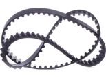 Stark SKTIB-0780170 - Cinghia Di Distribuzione Oe 081655 Per Zx (N2), Xsara, Saxo, Berlingo, Ulysse, Partner (5, G), Expert (222), 806 (221), 405 Ii, 306, 206 Sw (2E/K), 206 (2A/C), 106 Ii