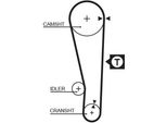 Gates 5250XS - Cinghia Di Distribuzione Oe 24312 24000 Per Lantra I (J-1), S (Slc)