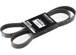 Ridex 305P0241 - Guarnizioni Di Ricambio Oe 31110 RL0 G52 Per Accord Viii, Civic Vii, Civic Viii, Patrol Gr V, Terrano Ii (R20)