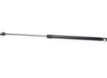 Ridex 219G0546 - Oe 96 027 543 Ammortizzatore Portellone Posteriore Per Zx (N2)