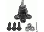 LemfÖRder 34075 01 - Oe 96852964 Giunto Sferico Anteriore Per Captiva, Antara (L07)