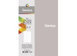 Notebook B5 Griglia 80K Genius