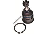 Maxgear 72-1584 - Oe 51220 SR3 013 Giunto Sferico Inferiore Anteriore Per Accord Vi, Civic V, Civic Vi, Civic Vii, CR-V I (Rd), Crx Iii (Eg, Eh), Integra (DC2, DC4)
