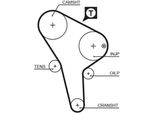 Gates 5176 - Cinghia Dentata Oe 068109119 Per Jetta Ii (165, 19E, 1G2)
