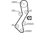 Gates 5251XS - Cinghia Di Distribuzione Oe 6177887 Per Escort V, Escort Vi, Escort Vii, Fiesta Iii, Orion Iii (Gal)