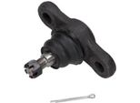 Maxgear 72-2343 - Oe 51760 2H000 Giunto Sferico Inferiore Anteriore Per Elantra (Hd), I30 (Fd), Carens Iii (Un), Ceed (Ed), Cerato Ii (Td), Magentis, Pro Ceed (Ed)