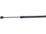Stark SKGS-0221029 - Ammortizzatore Posteriore Oe 81770 0X000 Per I10 (Pa)
