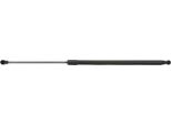 Ridex 219G0480 - Oe 81770 25220 Ammortizzatore Portellone Posteriore Per Accent Ii (Lc)