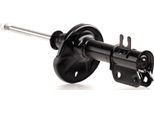 Ridex 854S0646 - Oe 96424026 Ammortizzatore, Asse Anteriore Destro Per Matiz (M200, M250), Spark (M200, M250)