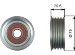 Gates T36447 - Puleggia Folle Oe 56980RSRE01, Cinghia A V Per Civic Viii