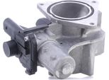 Pierburg 7.00823.06.0 - Valvola Egr Per Equinox, Ducato, Elantra (Hd), Laguna Ii, Crafter (2E), Crafter (2F), T5, Touareg (7L)