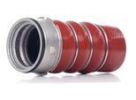Stark SKCHI-2030370 - Tubo Aria Di Carico Oe 11617796303 Per Serie 3 (E90), Serie 3 (E93), Serie 3 (E92), Serie 3 (E91)