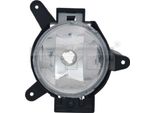 Tyc 19-0979-01-2 - Fendinebbia Oe 96844211, Destro Per Spark (M300)