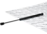 Ridex 514G0167 - Ammortizzatore Del Cofano Oe 1X4316C826AC Per X-Type (X400)
