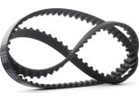 Stark SKTIB-0780139 - Oe 0816 71 Zahnriemen Per Berlingo, Xsara, Zx (N2), Ulysse, 306, 405 Ii, 406, 605 (6B), 806 (221), Expert (224), Expert (222), Partner (5, G)