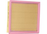 Valeo 585245 - Filtro Aria Oe 53007386 Per Grand Cherokee I (Zg, Zj), Grand Cherokee Ii (Wg, Wj), Pathfinder Iii (R51)
