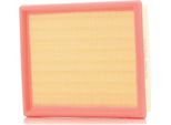 Stark SKAF-0060036 - Filtro Aria Oe 1444 G9 Per Xsara, 206 Cc (2D), 206 (2A/C), 206 (2E/K), 206 Sw (2E/K), 206 Van