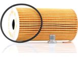 Bosch F 026 407 206 - Filtro Olio Oe 68031 597AB Per Voyager V (Rt)