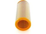 Bosch 1 457 433 433 231 - Oe 03501 843 Filtro Aria Per Voyager Iii (Gs), Espace Ii (J), Trafic (P, T, V)
