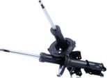 Ridex 854S2558 - Ammortizzatore Oe 54650 0X100, Asse Anteriore Per I10 (Pa), Picanto (Sa)