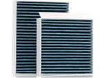 Stark SKIF-0170502 - Filtro Aria Abitacolo Oe 1609428180 Per C3 Ii (Sc), C3 Iii (Sx), C4 Cactus, DS3, DS3 (Sa), DS3 (Sb), 2008 I (Cu), 2008 Ii (U), 207 (Wa, Wc), 207 Cc (Wd), 207 Sw (Wk), 208 I (Ca, Cc), 208 (Cr)
