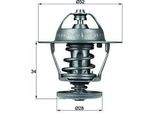 Mahle Tx 68 88D - Termostato Liquido Di Raffreddamento Oe 1338 F5 Per Jumper, Ducato, Transit V363, Transit Tourneo, Transit, Transit Custom, Tourneo Custom, Ranger (Tke), Mondeo Iii, Boxer