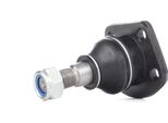 Ridex 2462S0216 - Giunto Sferico Inferiore Oe Cac 9937 Per Xj (X300, X330), Xj (X308), Xj (XJ40, XJ81), Xj Coupé, Xjsc (X27)
