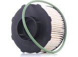 Bosch F 026 402 359 - Oe 9816182880 Kraftstofffilter FüR Berlingo, C-Elysee (Dd), C3 Aircross Ii (2C, 2R), C3 Iii (Sx), C4 Cactus, C4 Iii (Ba, Bb, Bc), C4 Spacetourer (3D), C5 Aircross (A), C4 (3A, 3E), DS3 (U), DS4 Ii (F), DS7 (J), Combo (K9), Corsa F, Crossland X, Grandland X, 2008 I (Cu), 2008 Ii (U), 208 I (Ca, Cc), 208 Ii (U), 208 (Cr), 3008 (M), 301, 308 Ii, 308 Iii, 308 Sw Ii, 5008 Ii, 508