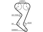 Gates 5582XS - Cinghia Di Distribuzione Oe 0816 C8 Per C5 I (Dc), C5 I (De), 406