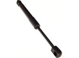 Maxgear 12-0308 - Oe 84430 AV600 HeckklappendäMpfer Per Primera (P12), Vectra C (Z02)