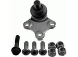 LemfÖRder 14767 04 - Oe 3640 42 Giunto Sferico Anteriore Inferiore Per Berlingo, Xsara, Zx (N2), Partner (5, G)